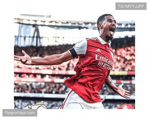 Son 2023年度表现稳健，关键贡献助球队稳步前行