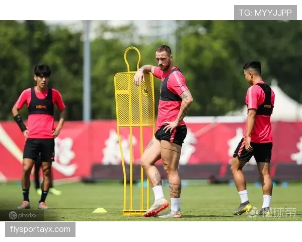 阿瑙托维奇战术适配性分析：角色定位清晰与近期稳健表现